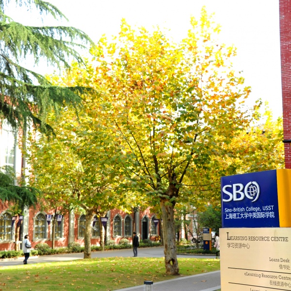 SBC Makes International Award Shortlist