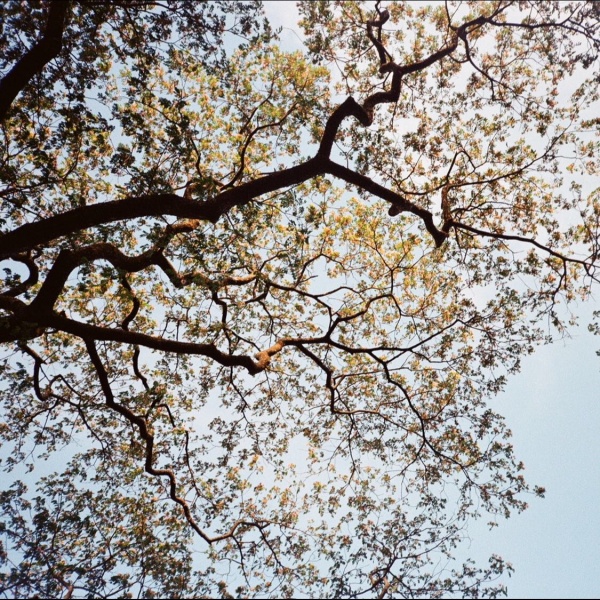 Sustainability – My impact, progress, and story