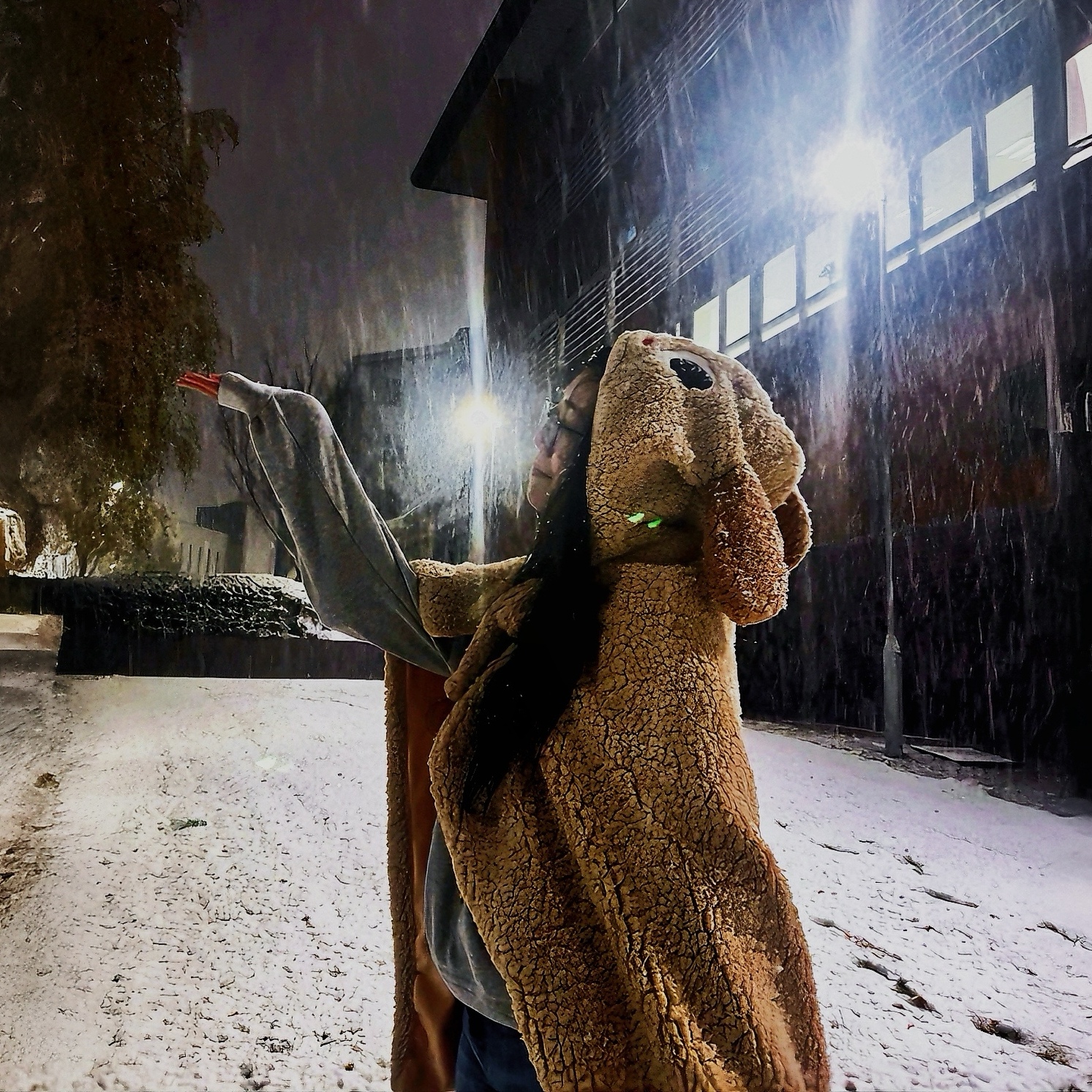 Lucina playing in the snow