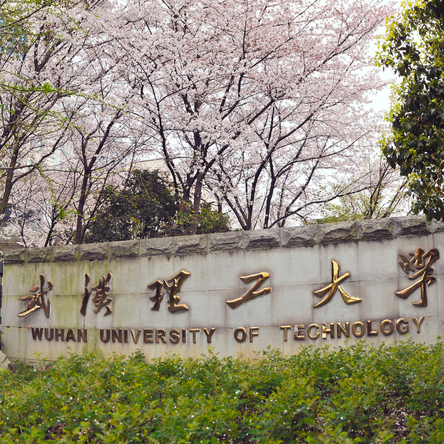 Wuhan University of Technology (WUT)*